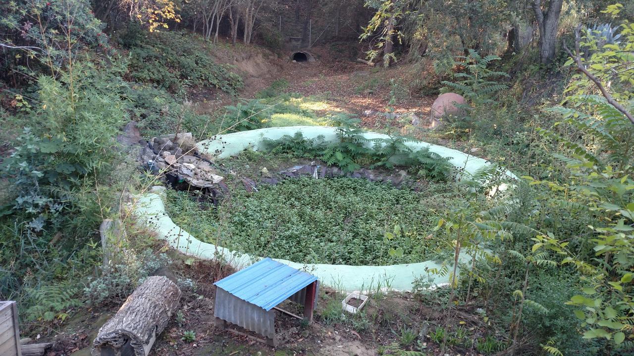 格兰德洛奇山林小屋 杰瑟维尔 外观 照片