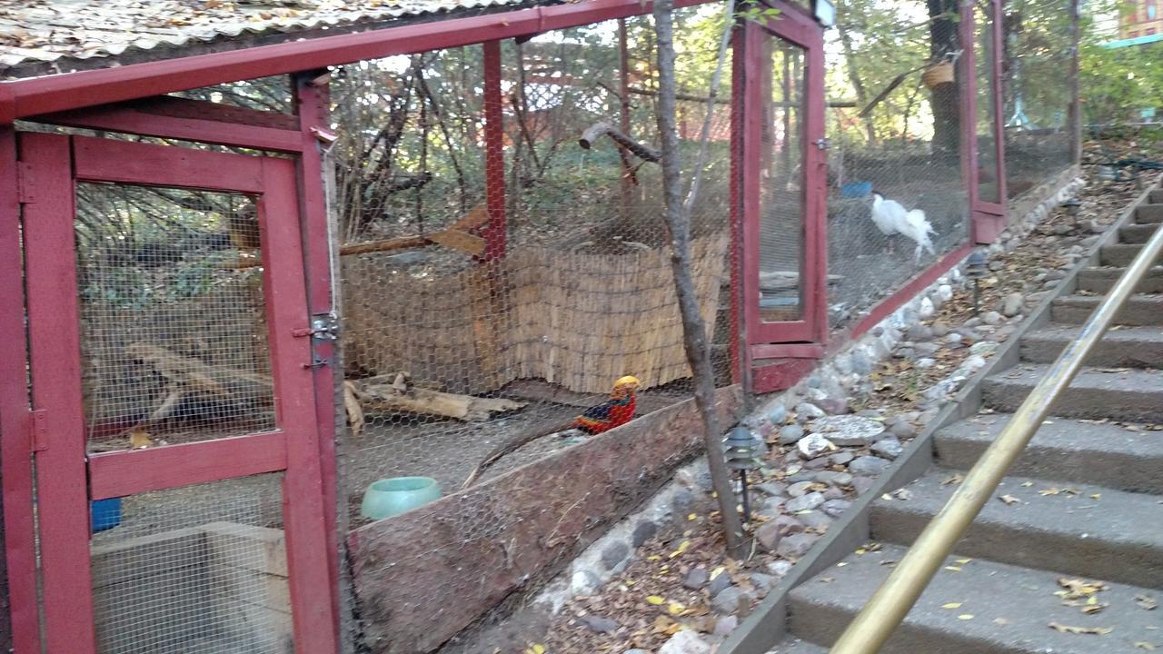 格兰德洛奇山林小屋 杰瑟维尔 外观 照片